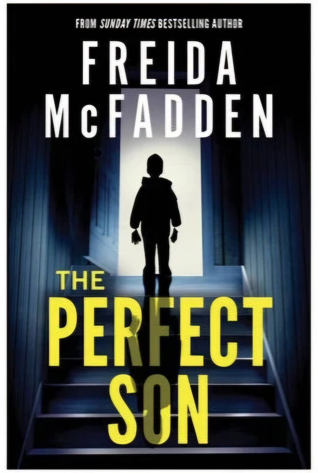 The Perfect Son by Freida McFadden